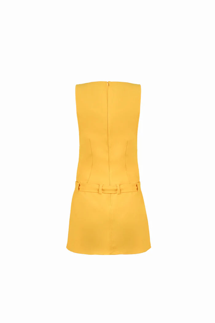 Danielle Buckled Dress