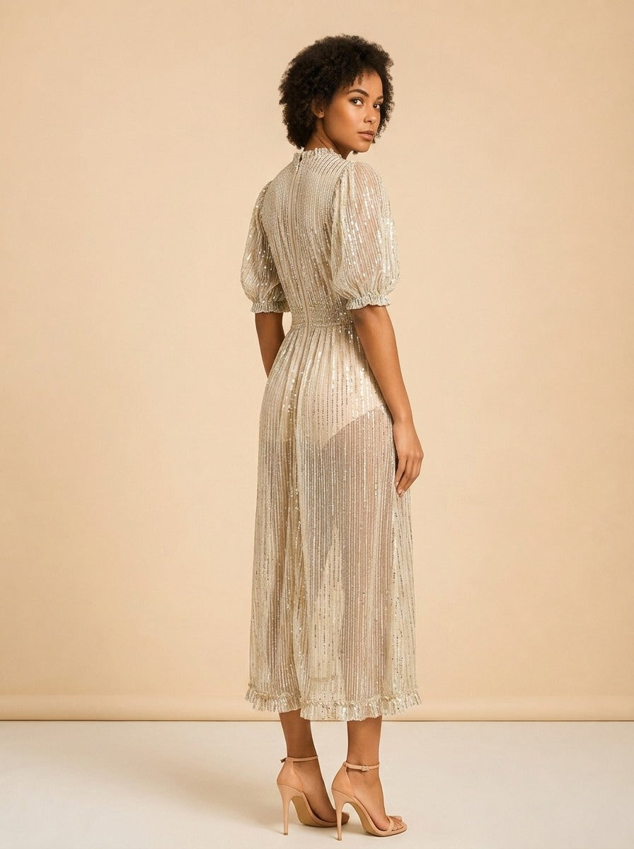 Sparkly Sheer Dress by Eddy in Sage green sequin